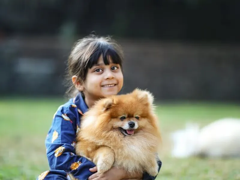 Manas Resort Petting Zoo 18
