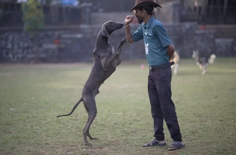 Manas Resort Petting Zoo 5